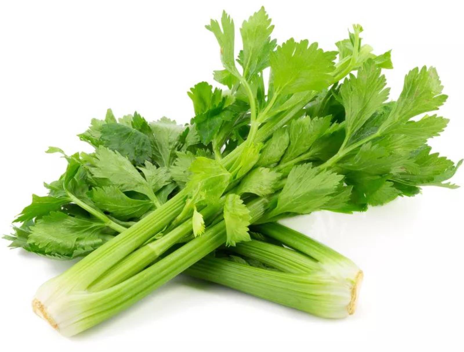 Celery